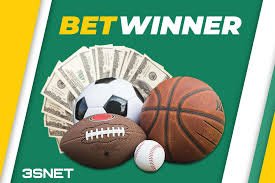 Explore the Exciting World of Sports Betting with BetWinner