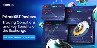 Exploring PrimeXBT Trading Pairs A Comprehensive Guide Exploring PrimeXBT Trading Pairs A Comprehensive Guide